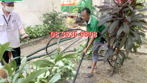thông cống giá rẻ